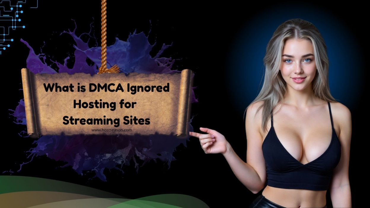 DMCA Ignored Hosting for Streaming Sites