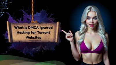 DMCA Ignored Hosting for Torrent Websites